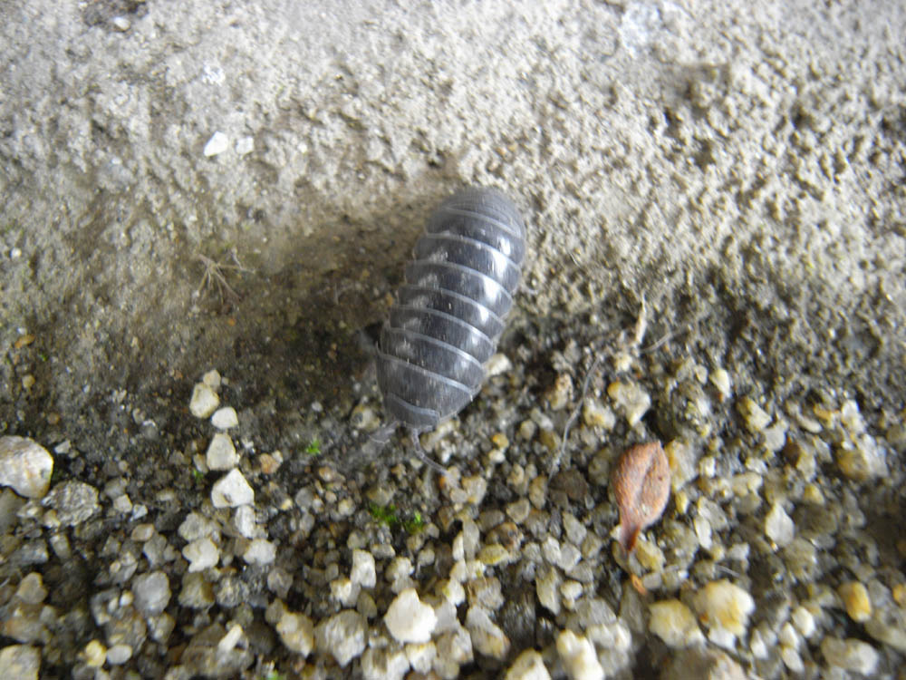 �_���S���V�W