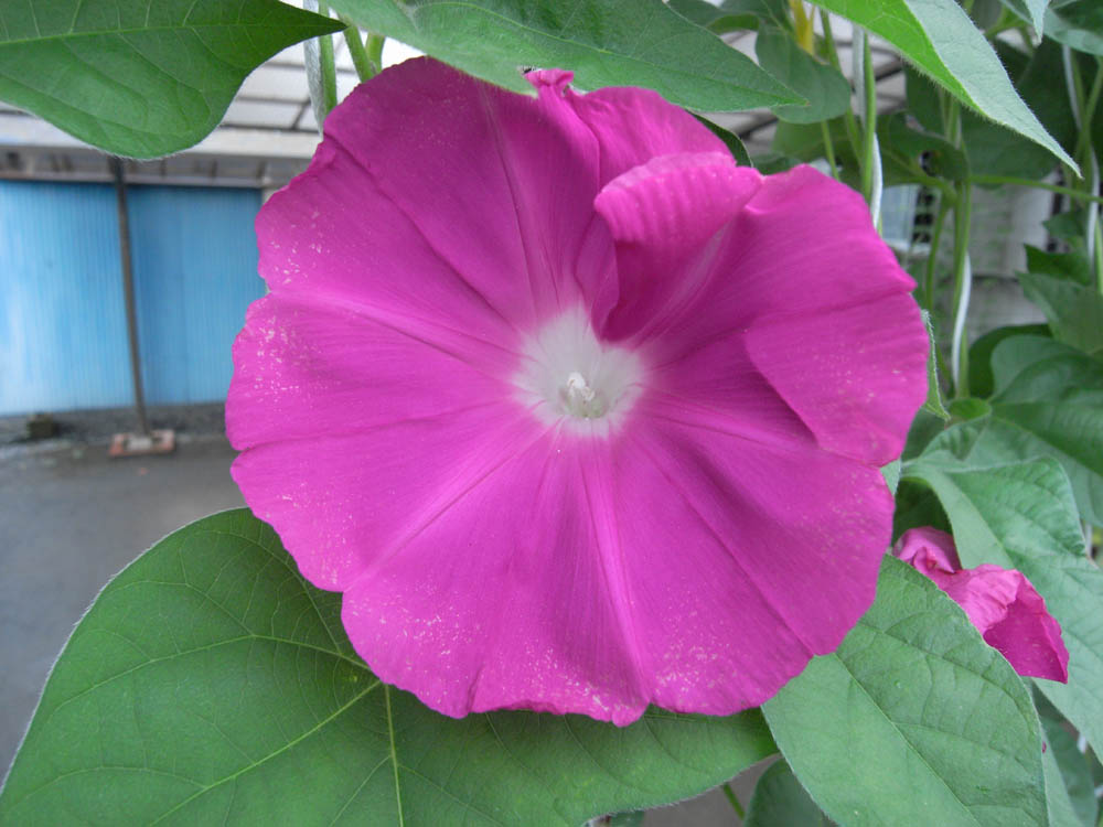 ��ցi���̂O�P�j