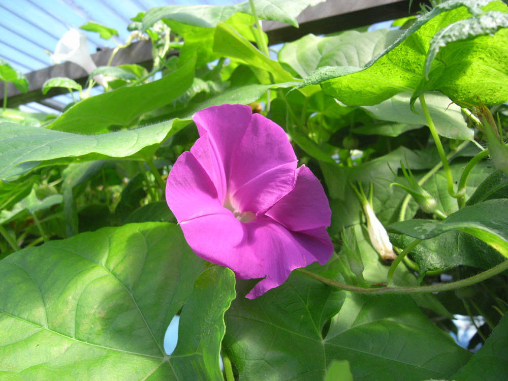 ��ցi���̂O�S�j