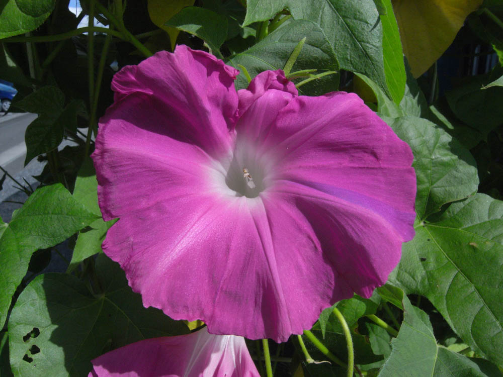 ��ցi���̂O�W�j