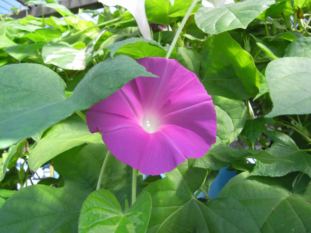 ��ցi���̂O�W�j