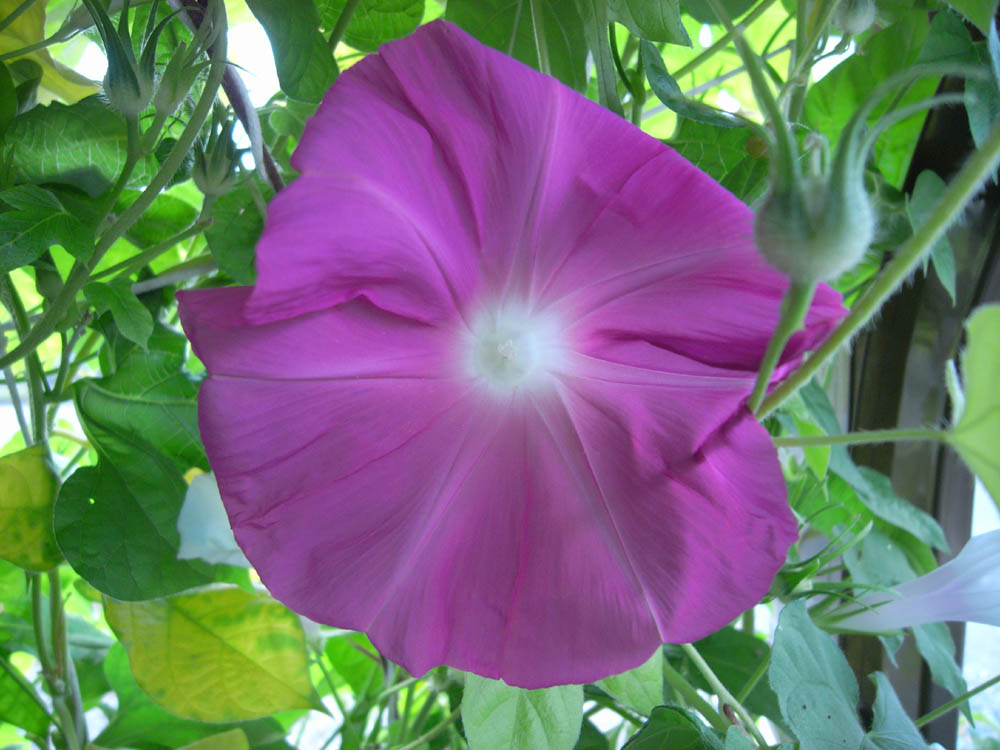 ��ցi���̂P�P�j