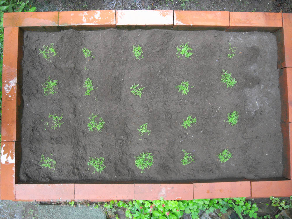 �Ԓd�A���t��