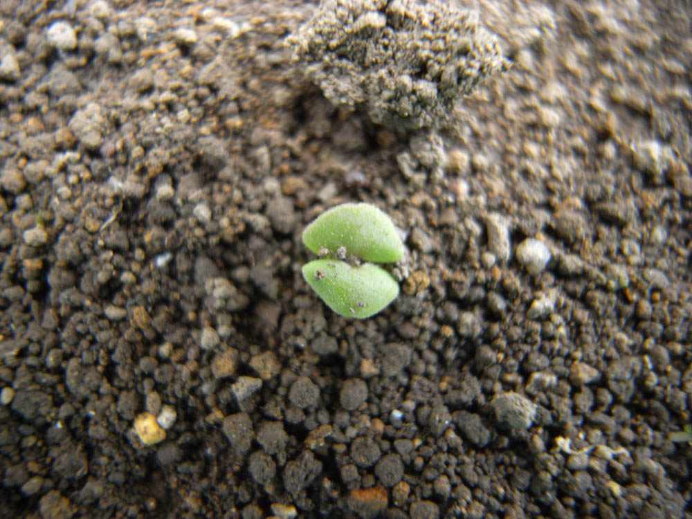 ����S�^�Q�Q