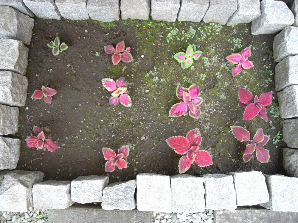 ���������̂Q