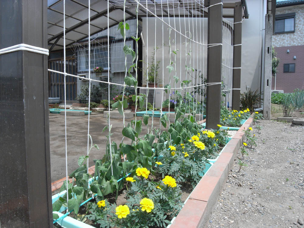 �J�Ԃ��̂O�Q