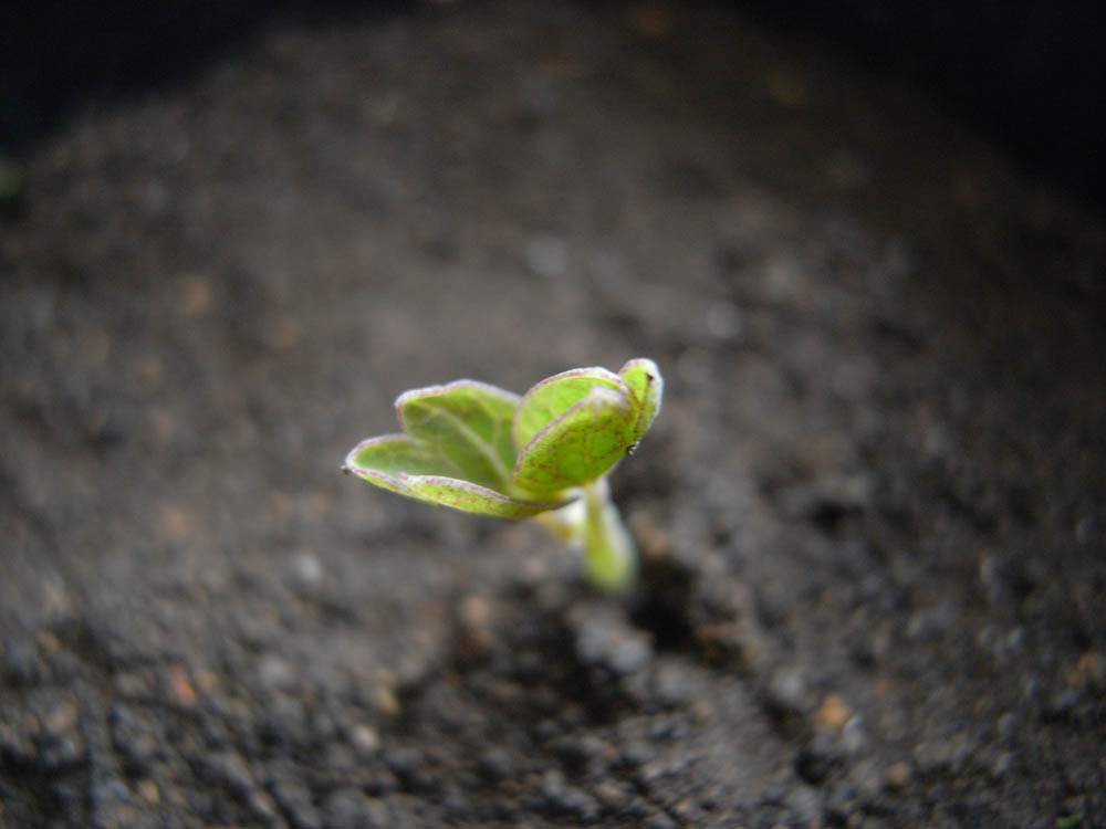 ����S�^�Q�R