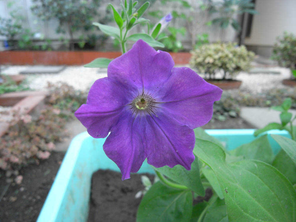 ���n���ԓ��W