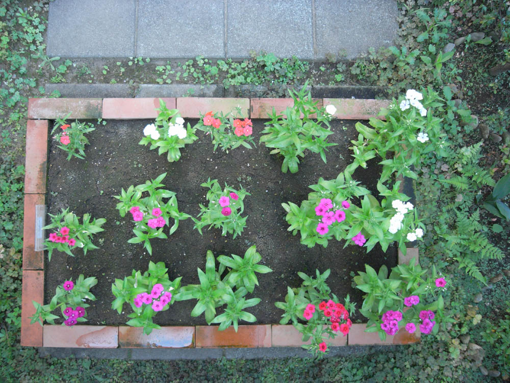 ���X�ƊJ�ԂT