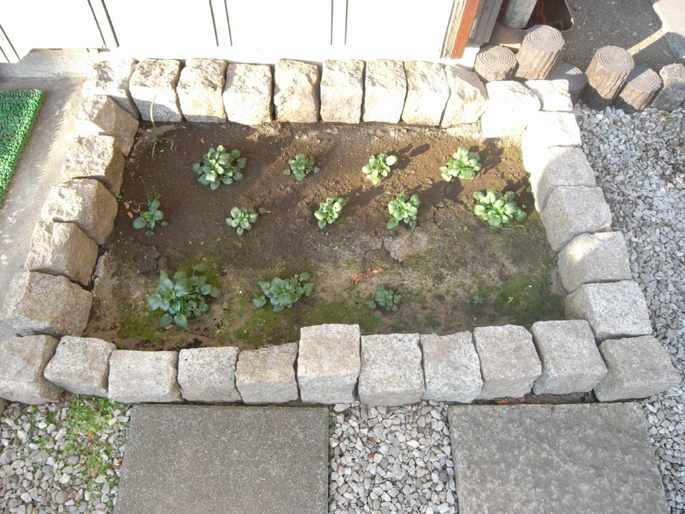 �c�̐����O�Q