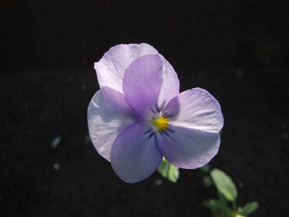 �J�Ԃ��̂O�S