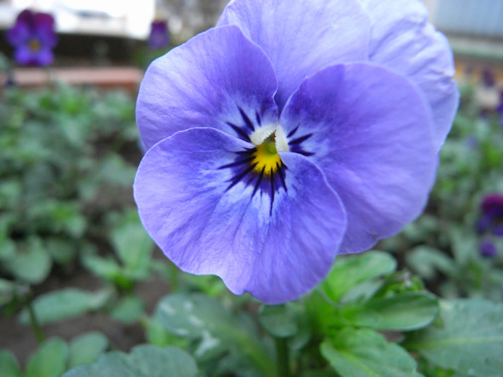 �J�Ԃ��̂O�V