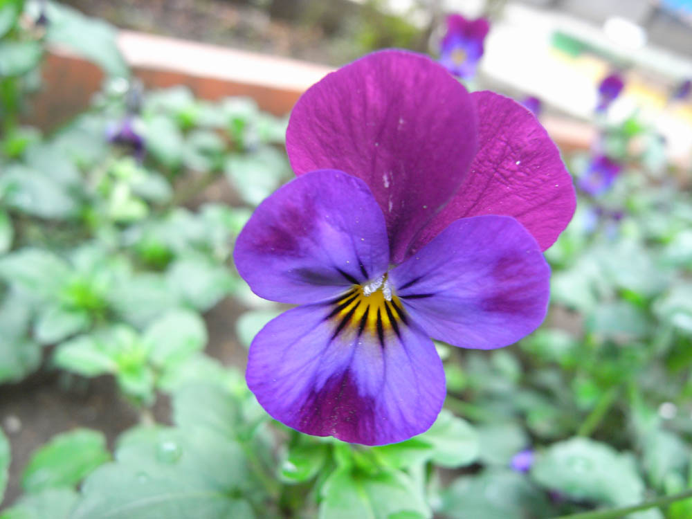 �J�Ԃ��̂P�Q