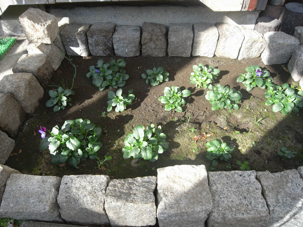 �J�Ԃ��̂O�P