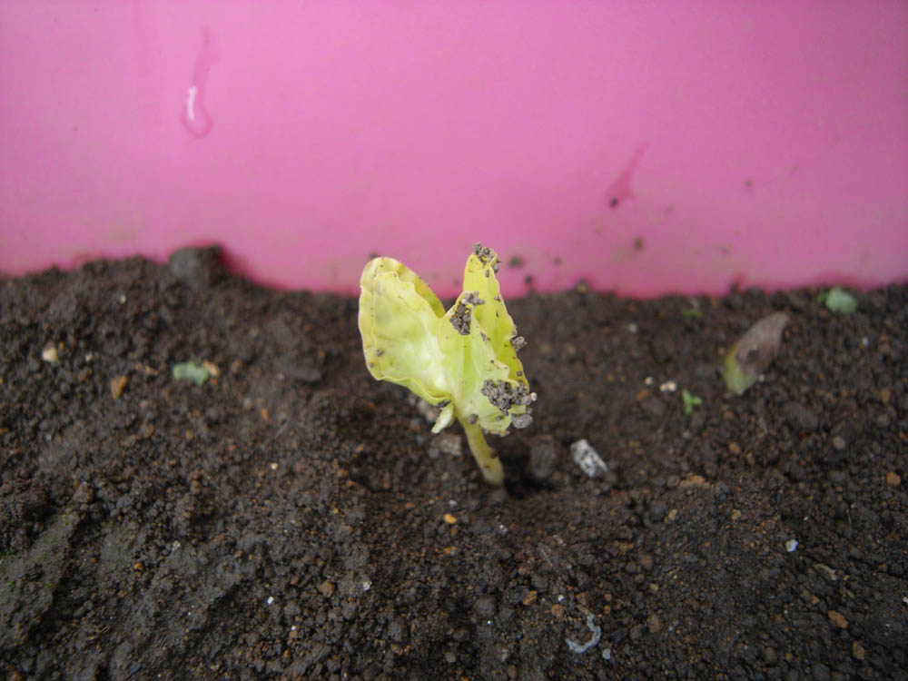 �T���Q�T��