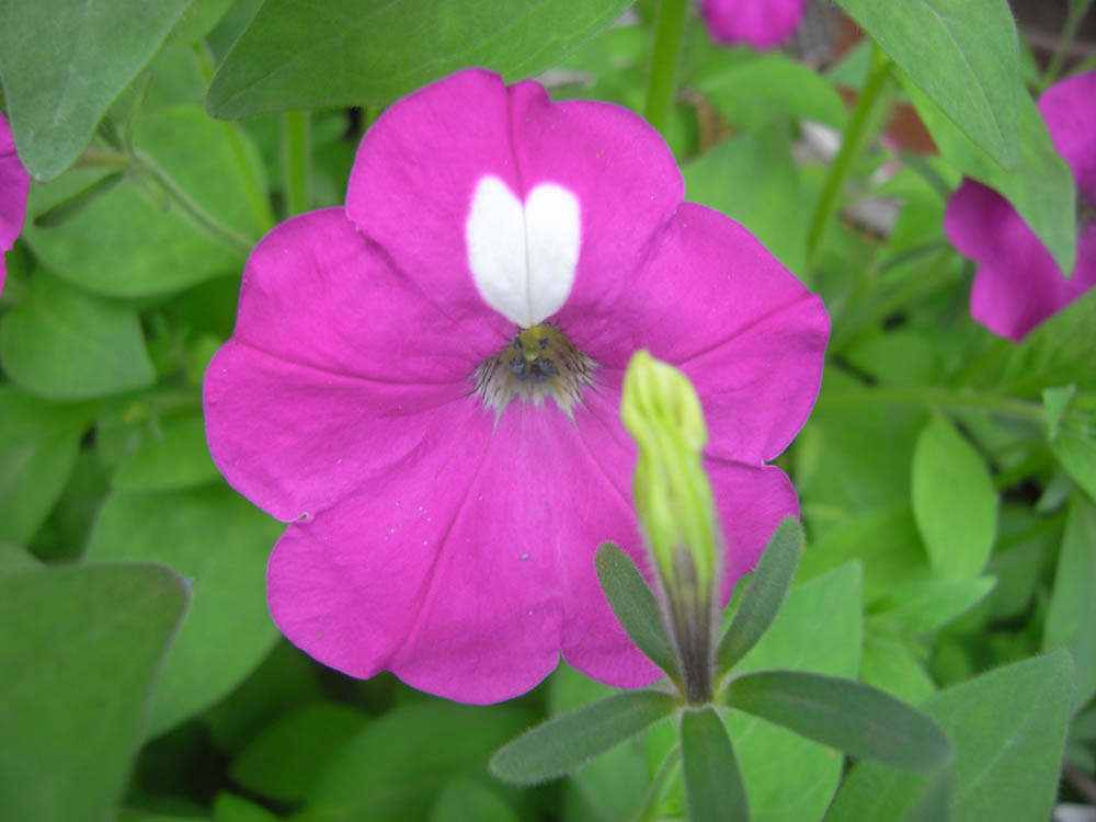 �U���O�P��