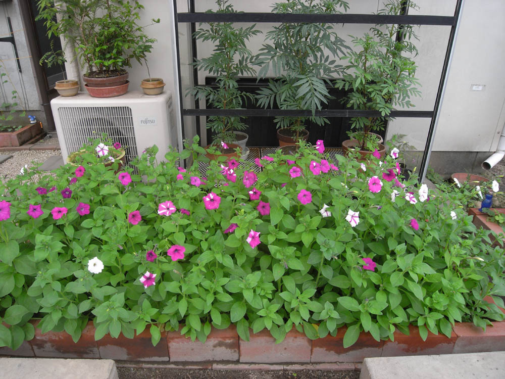 �U���Q�W��