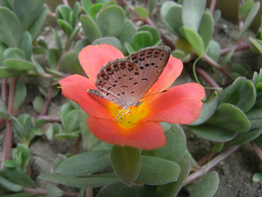 �U���P�Q��