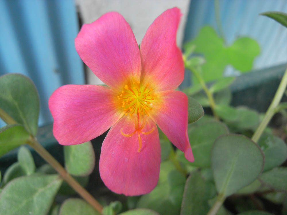 �U���Q�W��