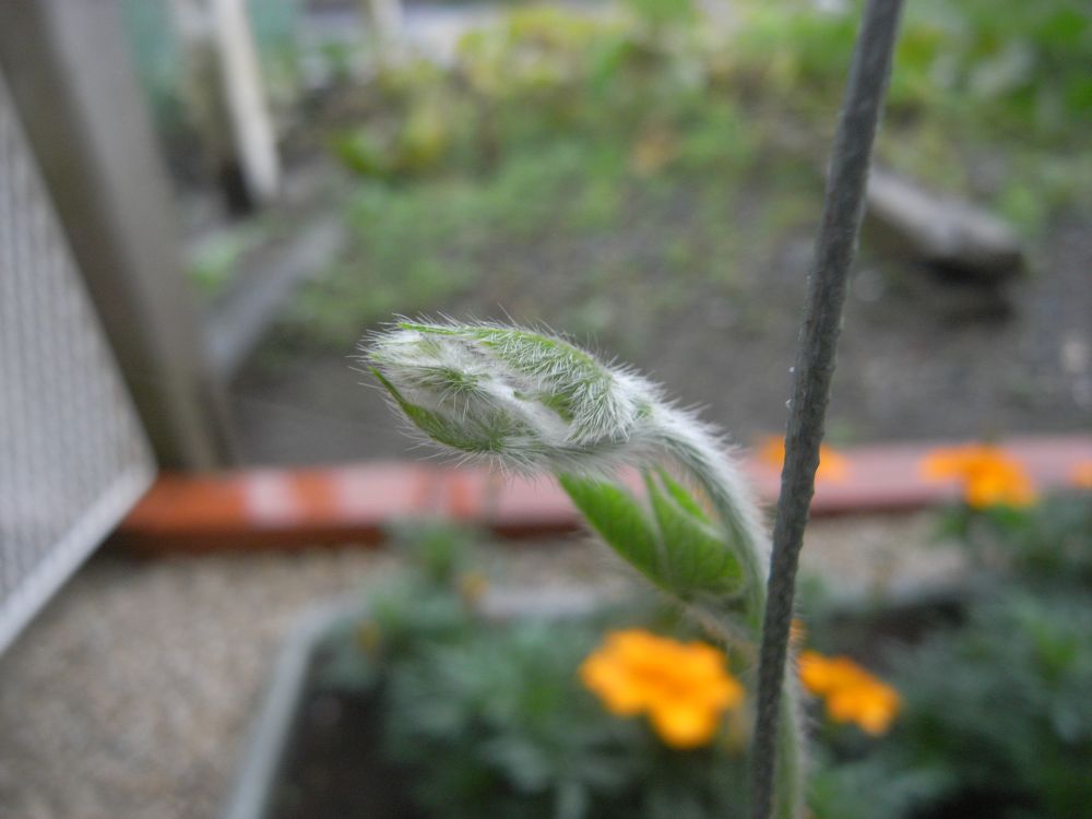 �A�T�K�I�W