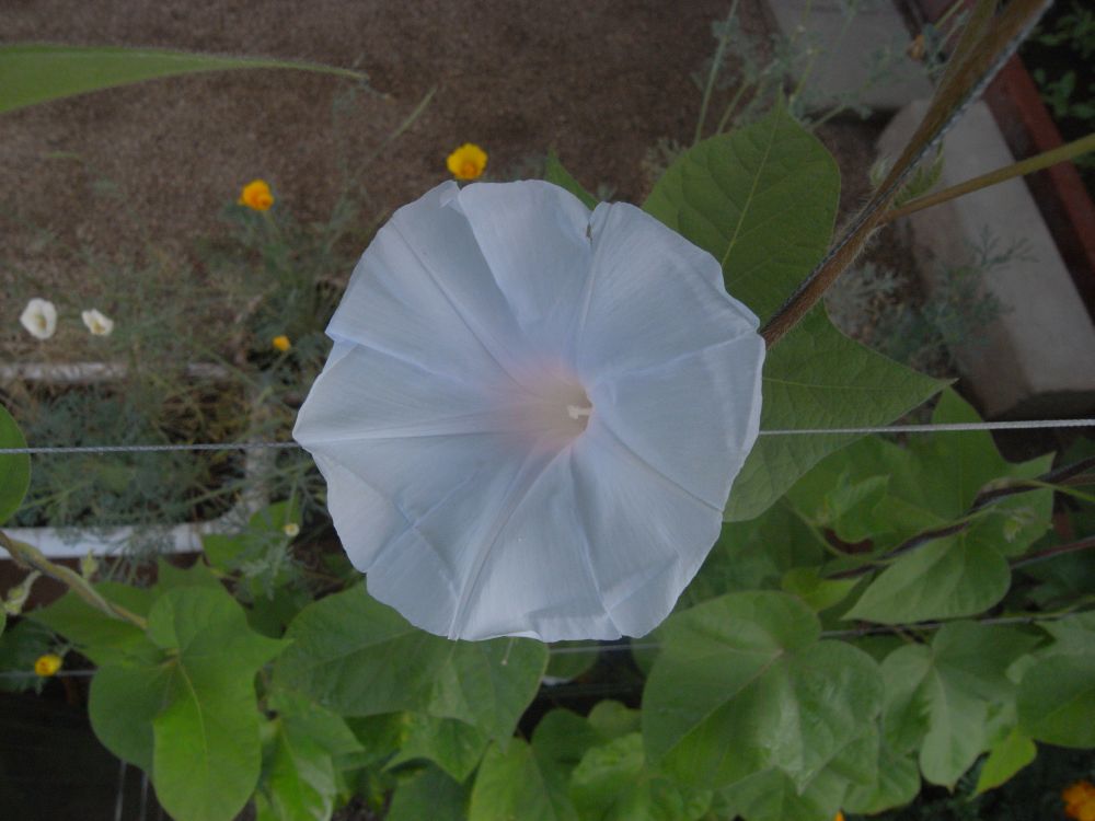 �A�T�K�I�P�R