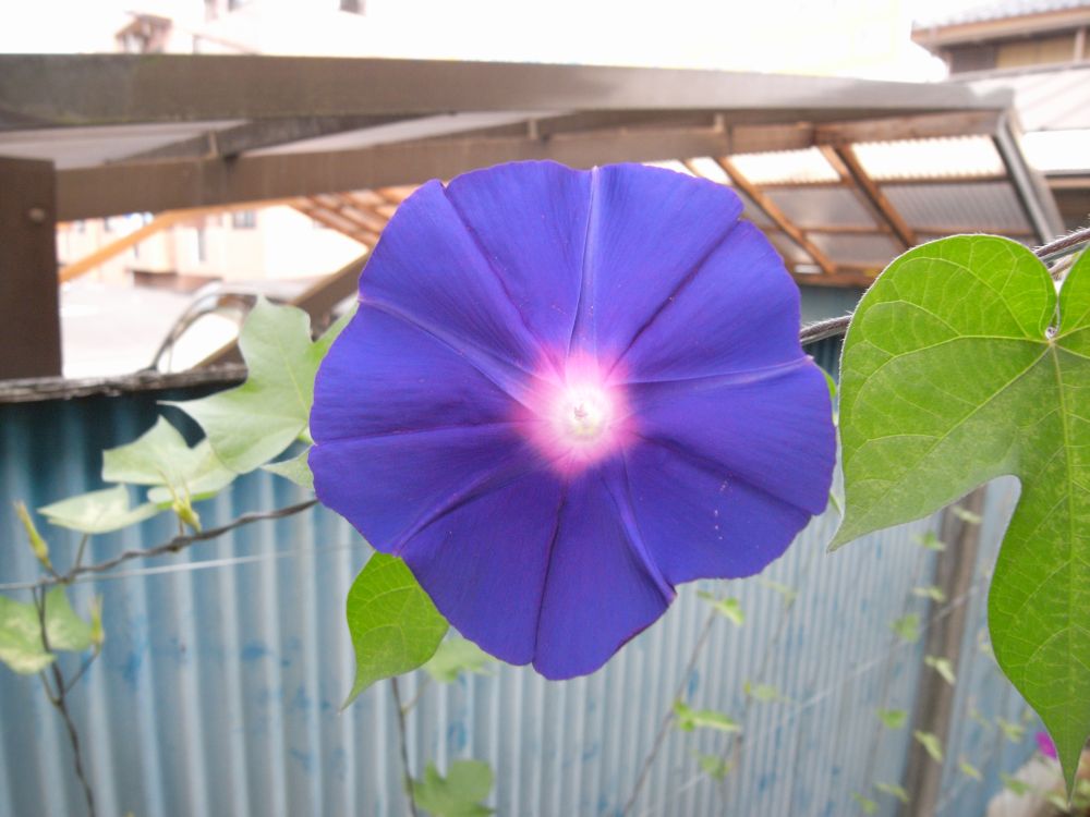 �A�T�K�I�P�T