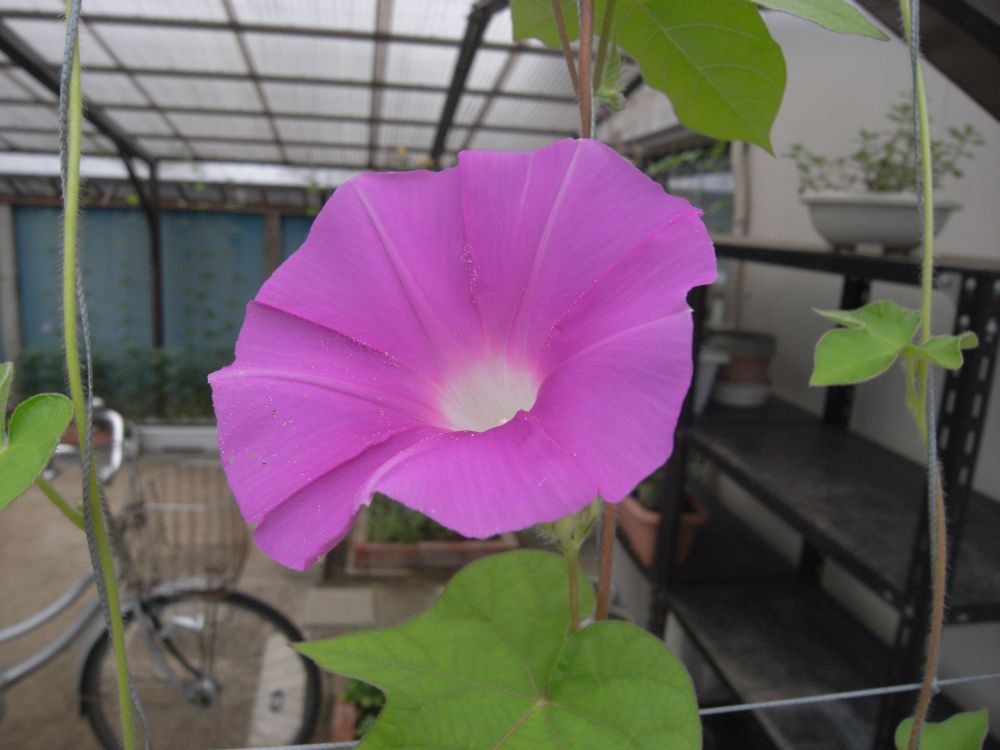 �A�T�K�I�P�U