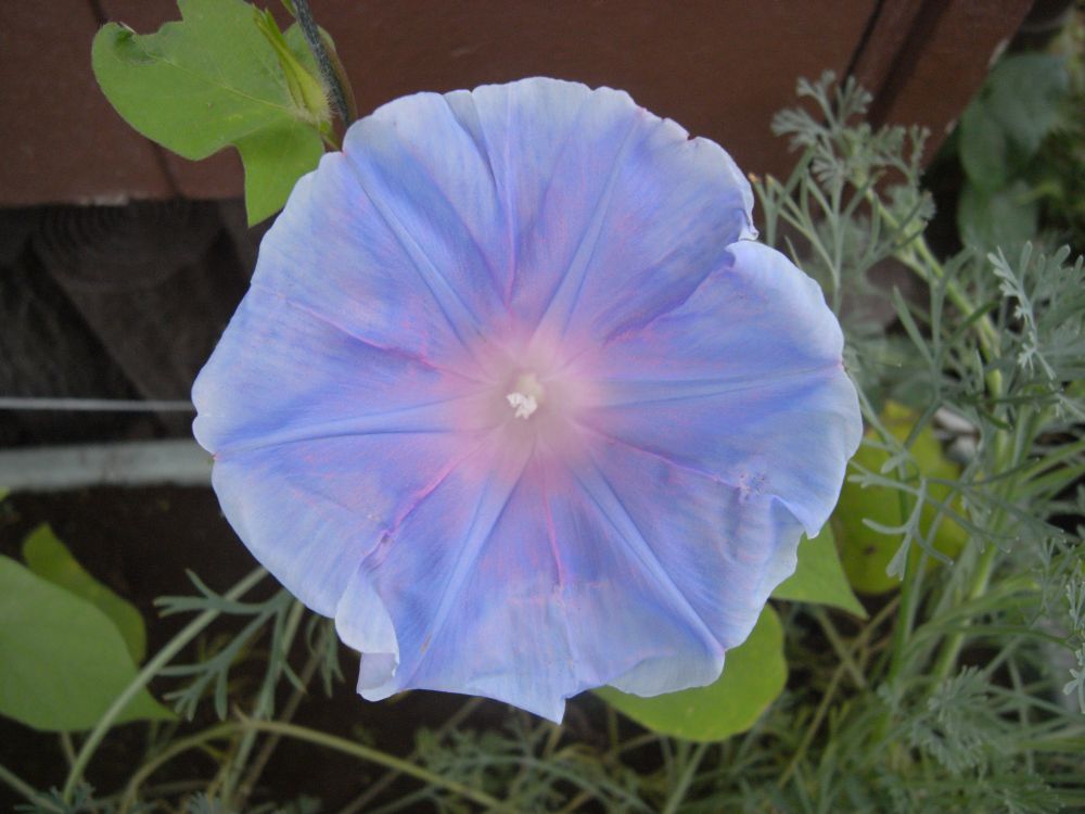 �A�T�K�I�P�W