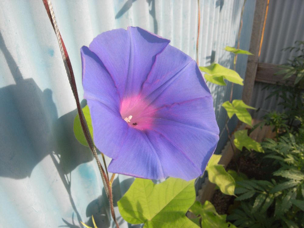 �A�T�K�I�Q�Q