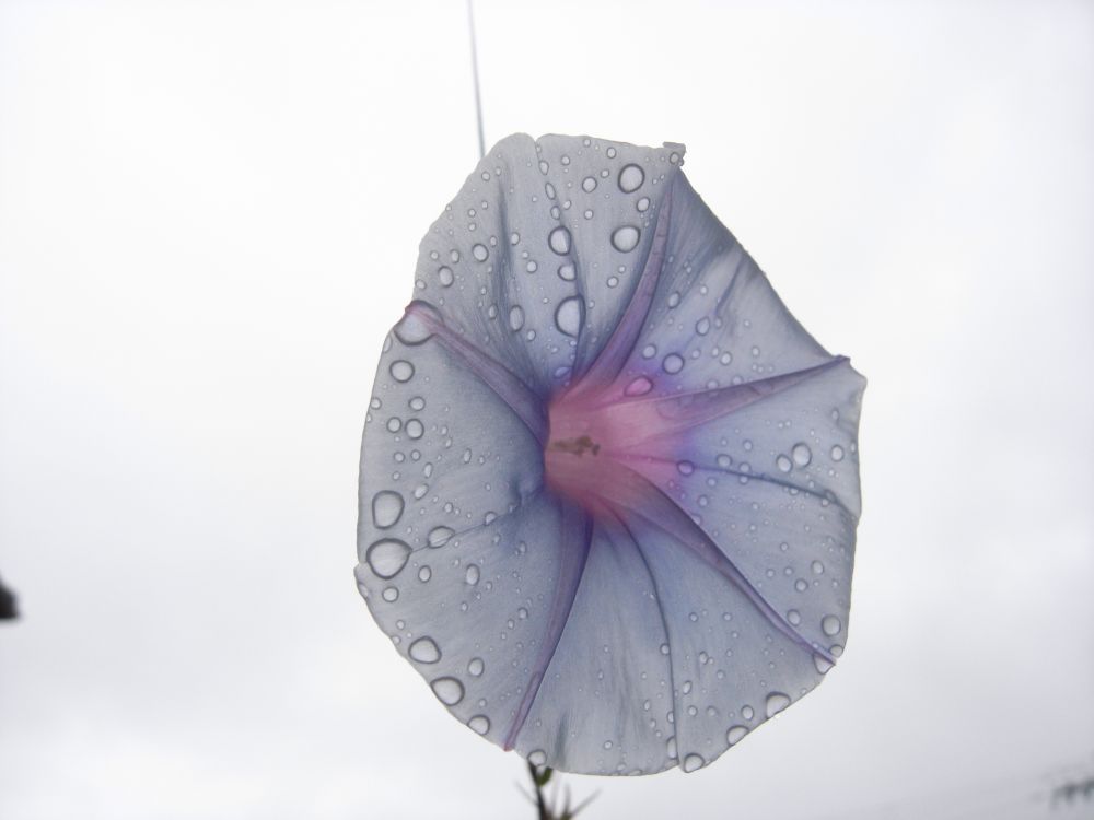 �A�T�K�I�Q�R