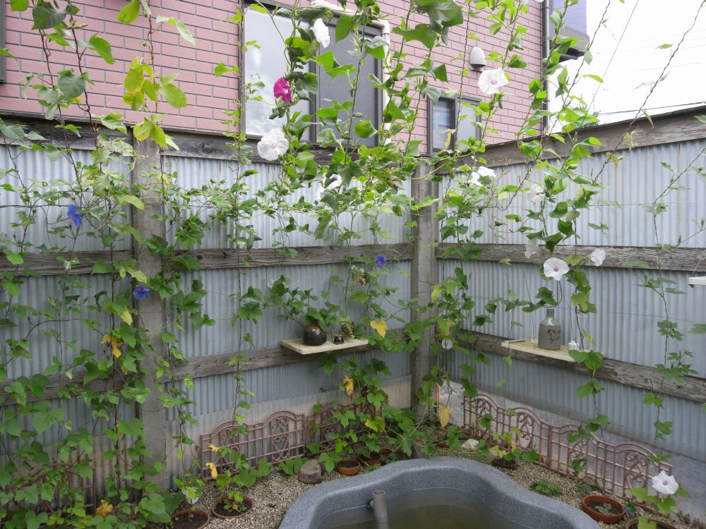 �A�T�K�I�R�Q