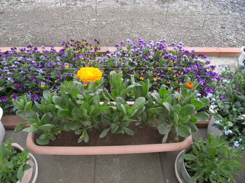 �L���Z���J�Q�U