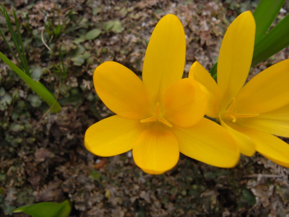 �X�i�b�v�Q�X