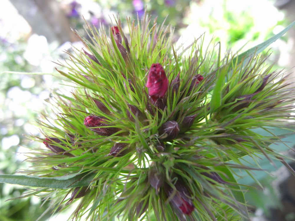 �i�f�V�R�V