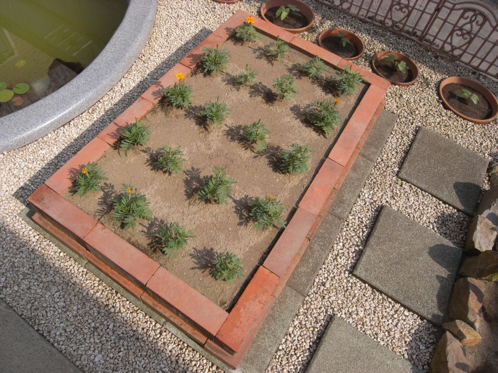 �t�����`�X