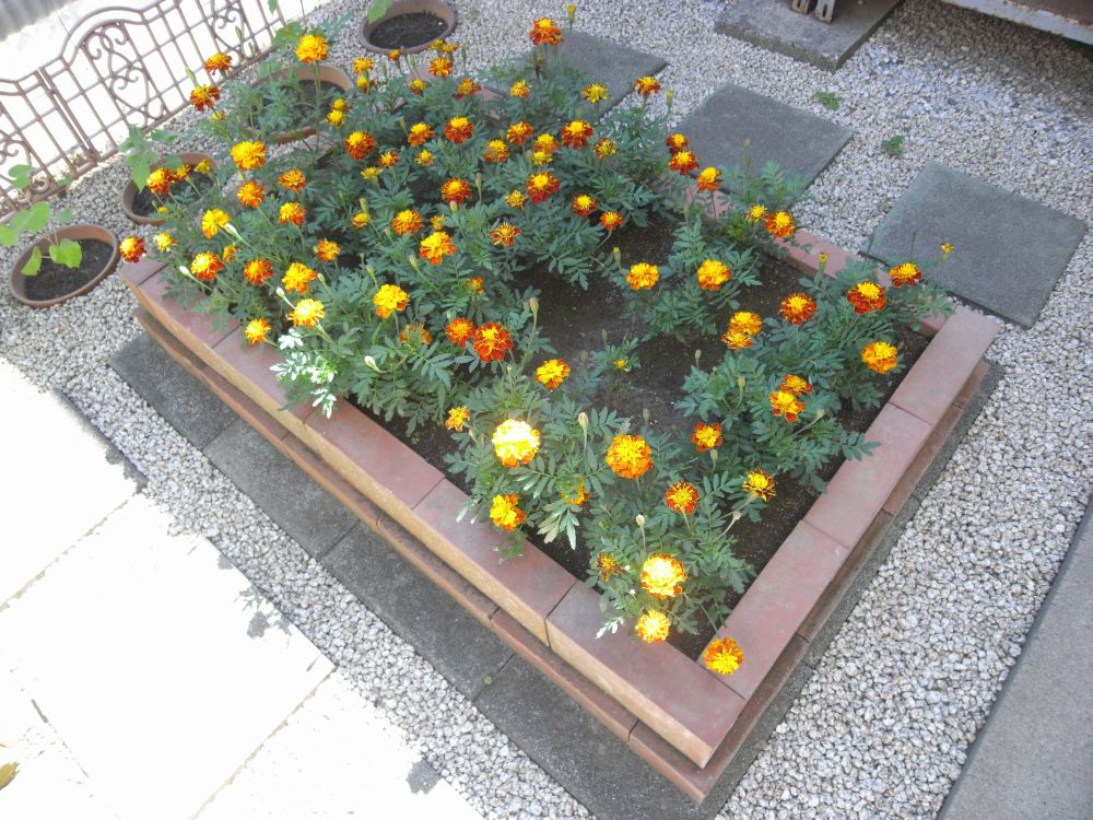 �t�����`�Q�R