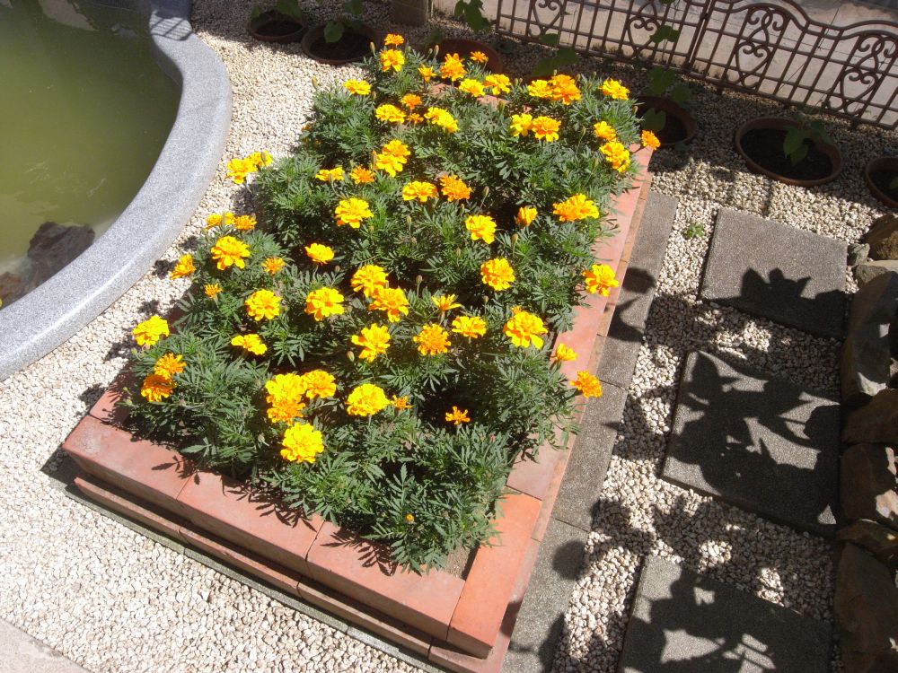 �t�����`�Q�T