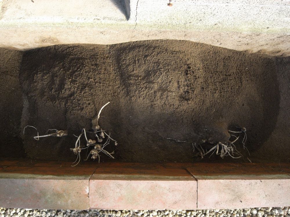 �L�L���E�R