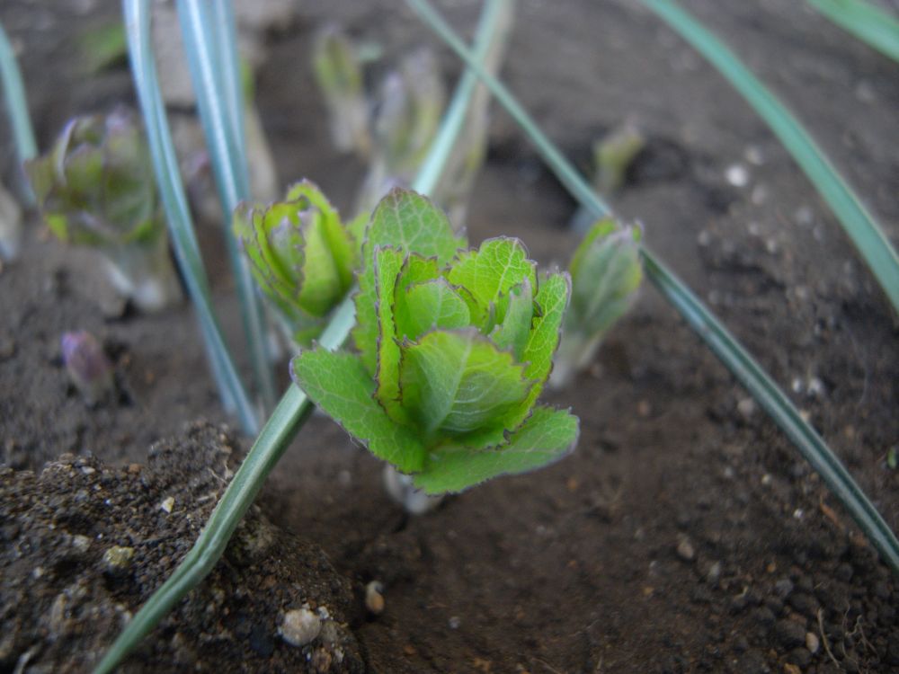 �L�L���E�T