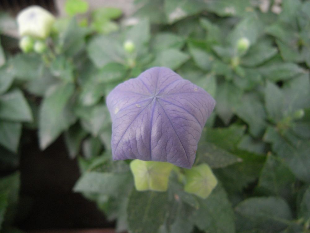 �L�L���E�P�U