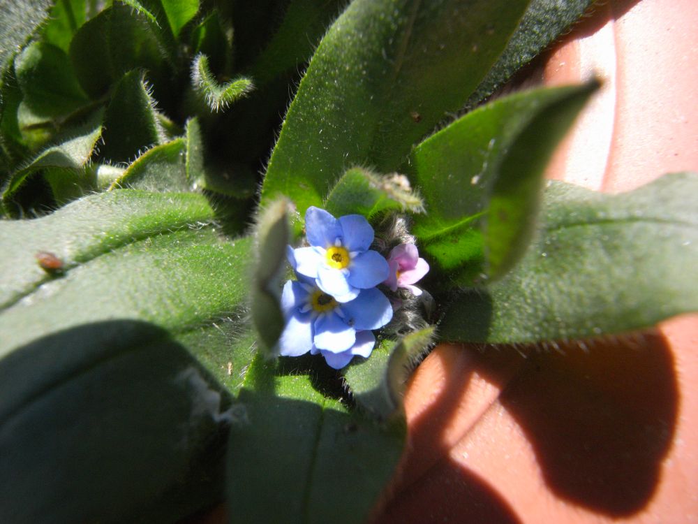 ���X���i�O�T�W