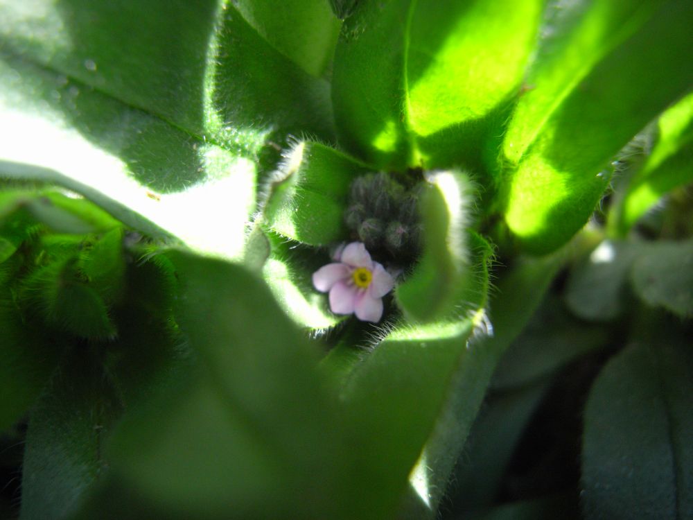 ���X���i�O�T�P�O