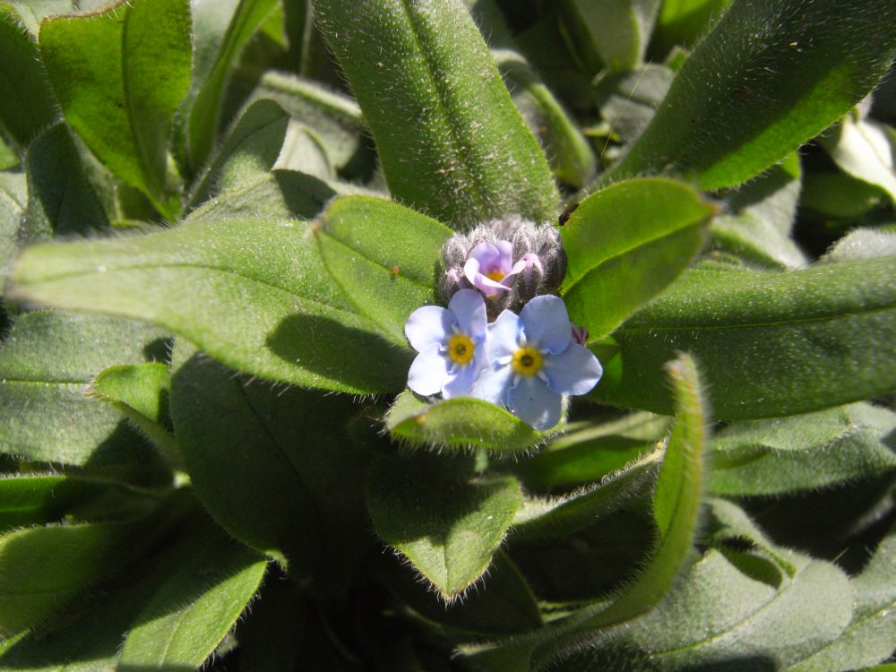 ���X���i�O�T�P�Q