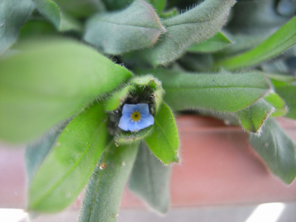 ���X���i�O�T�P�R