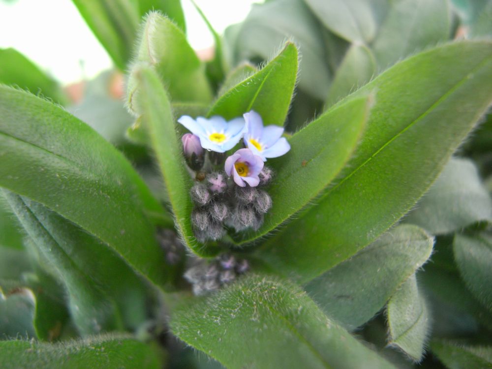 ���X���i�O�T�P�S