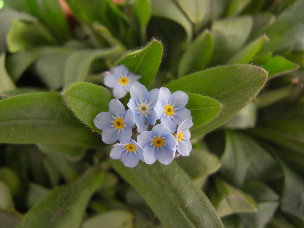 ���X���i�O�T�P�V