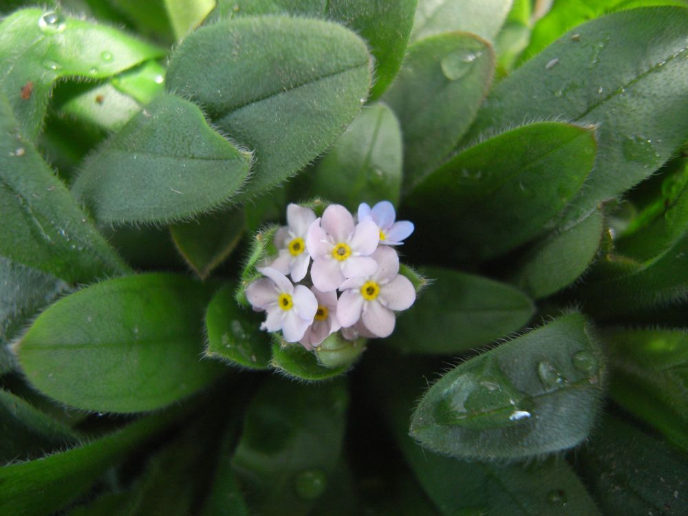 ���X���i�O�T�Q�P