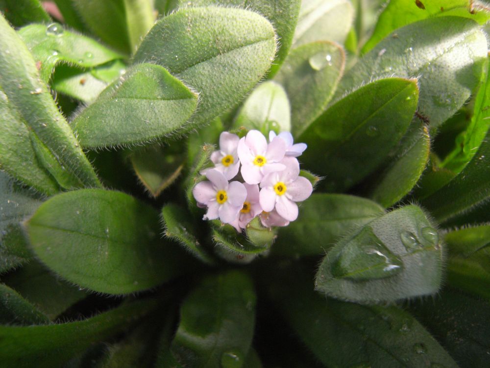 ���X���i�O�T�Q�R