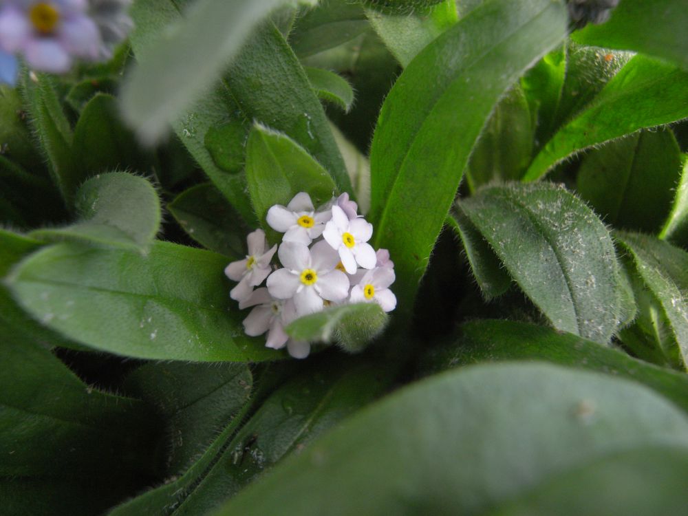 ���X���i�O�T�Q�S