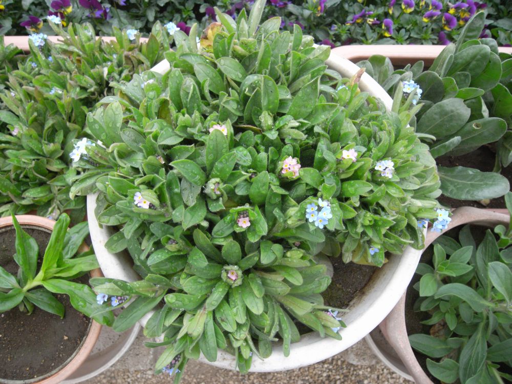 ���X���i�O�T�Q�U